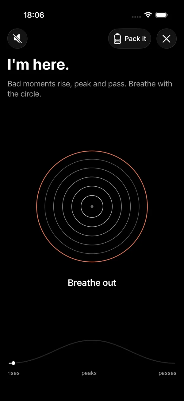 Ride it out: I'm here. Bad moments rise, peak and pass. Breathe with the circle.
